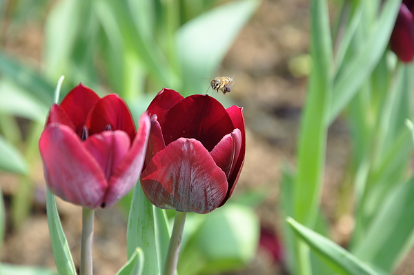 DSC_0057.JPG DSC_0057.JPG