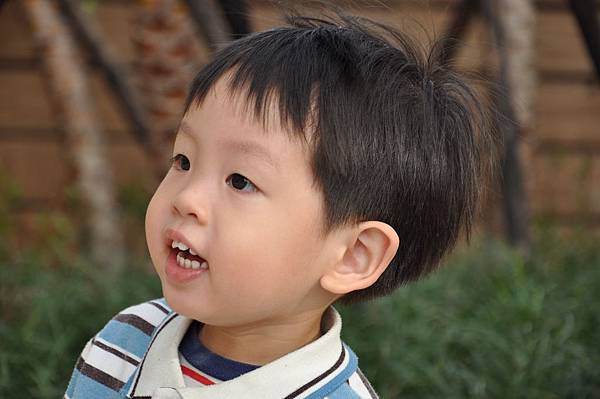 DSC_0025.JPG DSC_0025.JPG