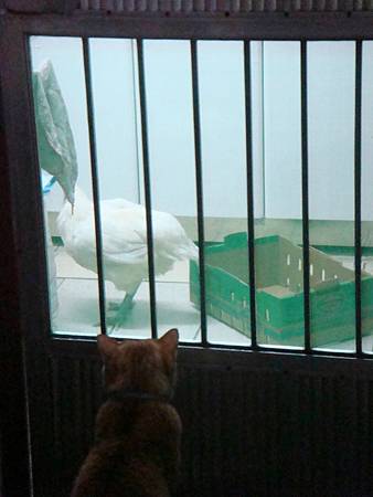 DSC05362.JPG DSC05362.JPG