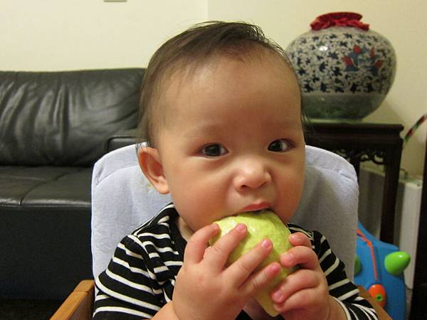 IMG_3806.JPG IMG_3806.JPG