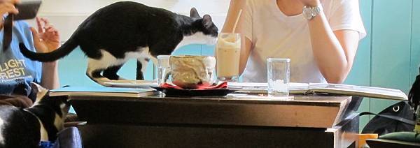 IMG_1359.JPG IMG_1359.JPG