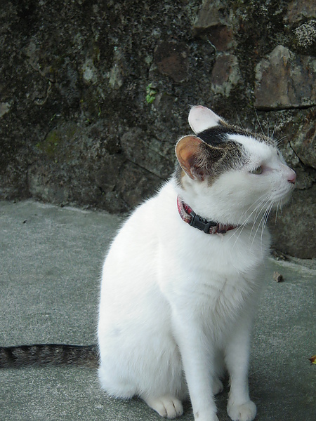 DSCN5619.JPG DSCN5619.JPG