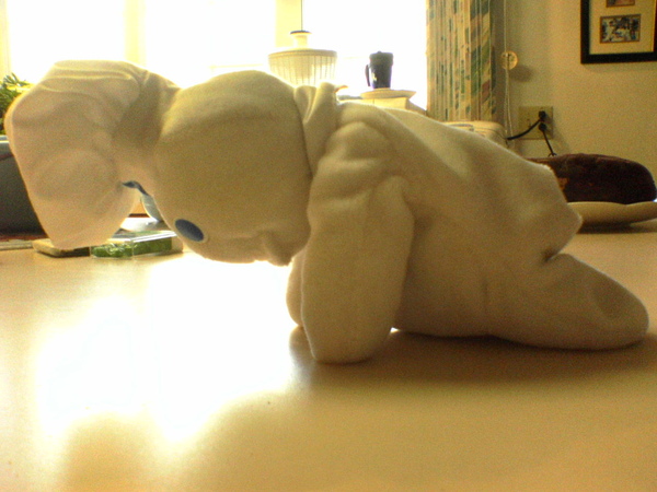 DSC00242.JPG DSC00242.JPG