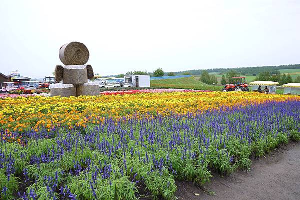 P1060213.JPG P1060213.JPG