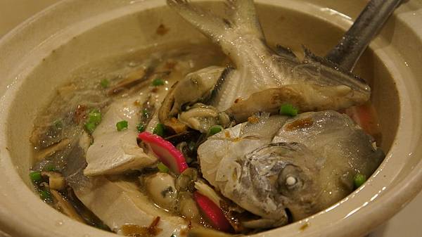 DSC00287.JPG DSC00287.JPG