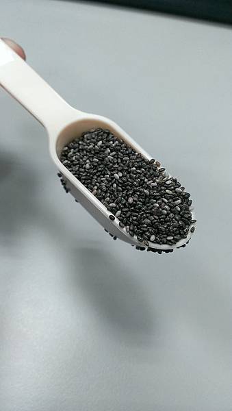 試用