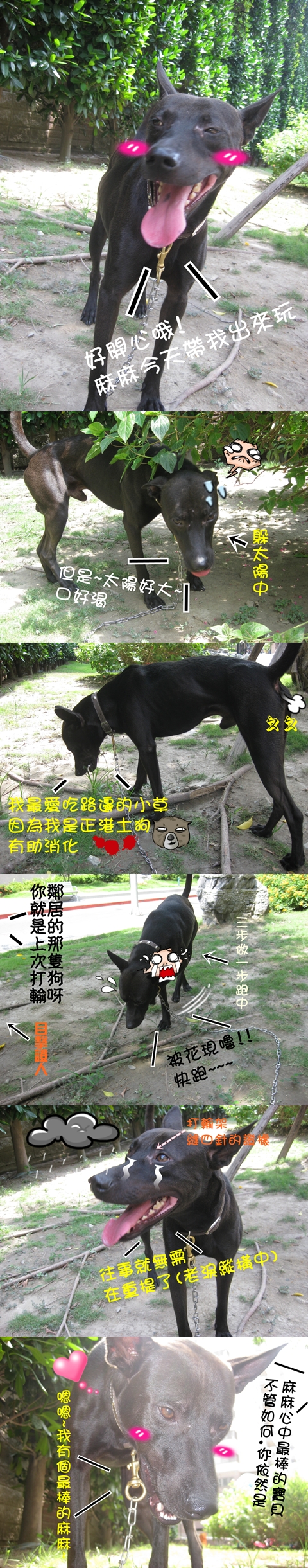 來福散步記 來福散步記