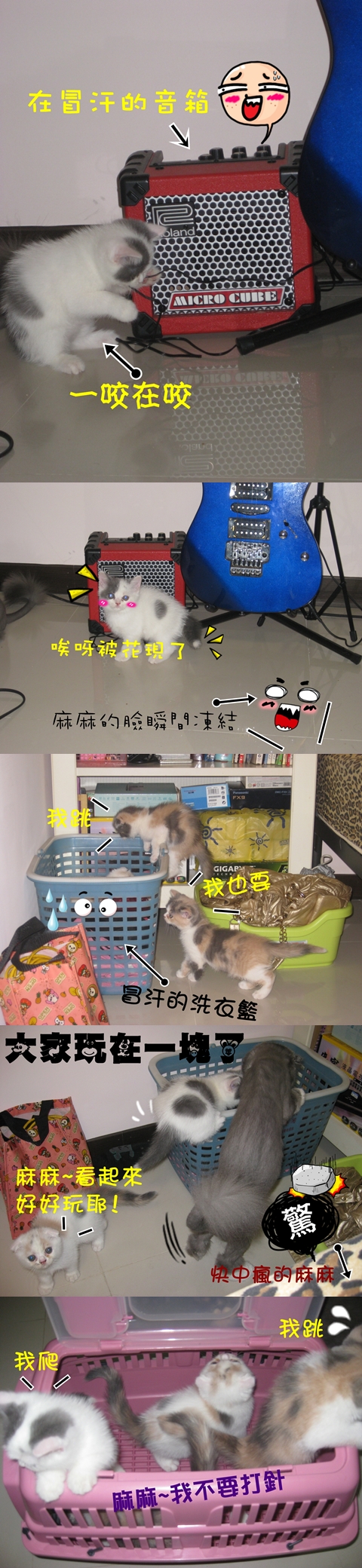 喵喵搞怪記 喵喵搞怪記