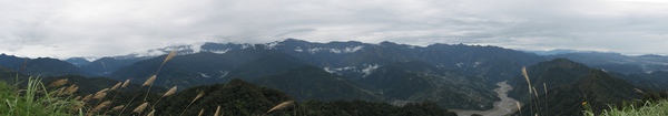 2010 2010