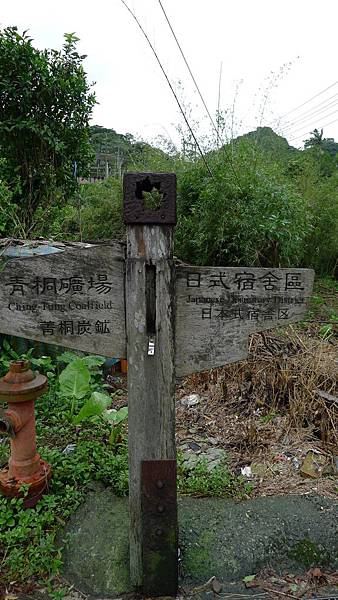 P1050804.JPG P1050804.JPG