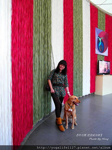 紙。教堂29 紙。教堂29