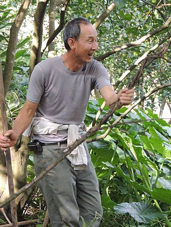 31597_439363956117167_412570891_n