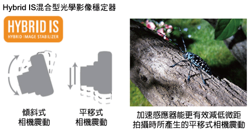 描述: http://buy.yahoo.com.tw/res/gdsale/st_pic/3274/st-3274446-4.jpg?u=20120104172716