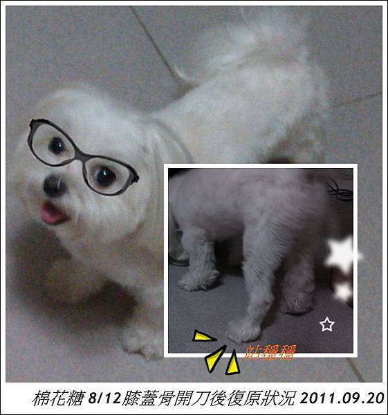 棉花糖開刀後.jpg