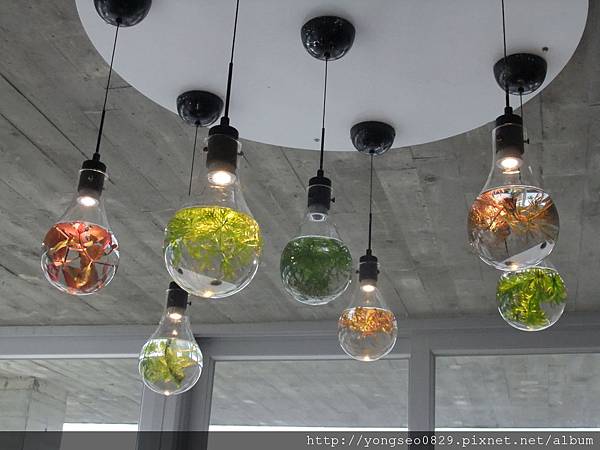 5-13-1.JPG 5-13-1.JPG