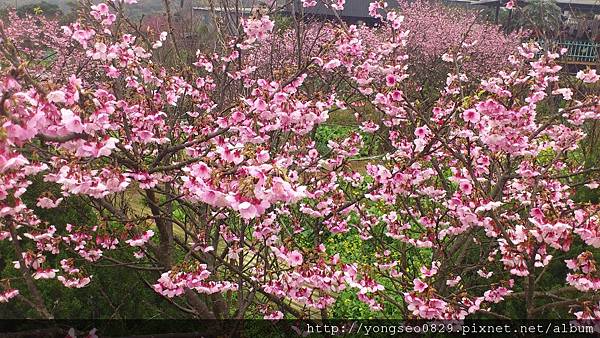 DSC_0503.JPG DSC_0503.JPG