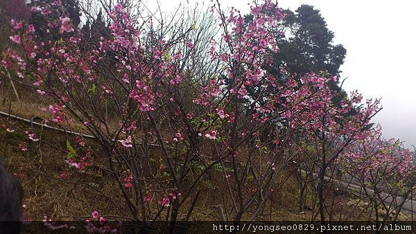 DSC_0516.JPG DSC_0516.JPG