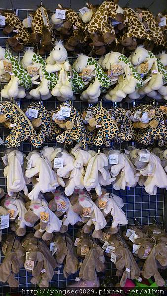 DSC_0515.JPG DSC_0515.JPG