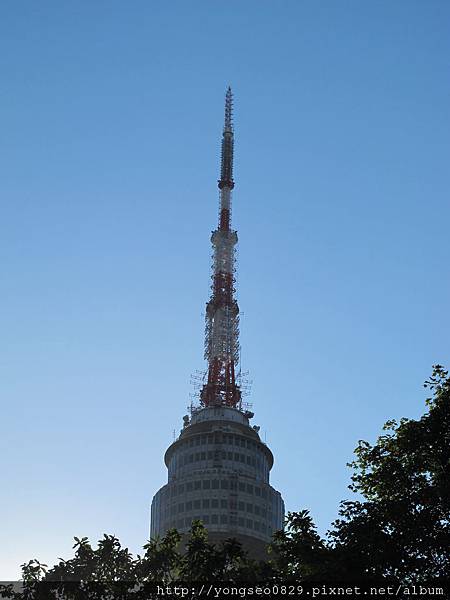 s12 (1).JPG s12 (1).JPG