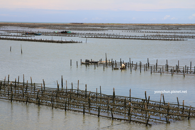 IMG_2728.jpg IMG_2728.jpg