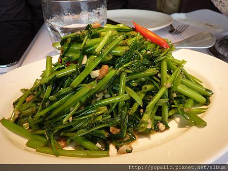 P1290284 P1290284