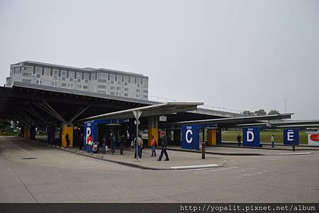 DSC_0617 DSC_0617