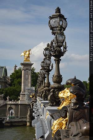 DSC_0877 DSC_0877