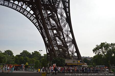 DSC_0008 DSC_0008