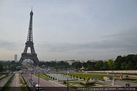 DSC_0956 DSC_0956