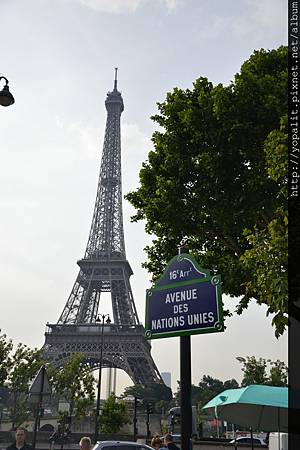 DSC_0990 DSC_0990