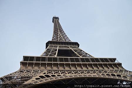 DSC_0012 DSC_0012