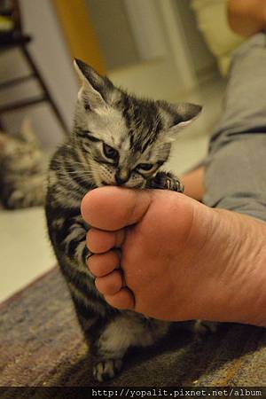 DSC_0289.JPG DSC_0289.JPG