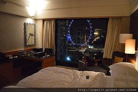 DSC_0029.JPG DSC_0029.JPG