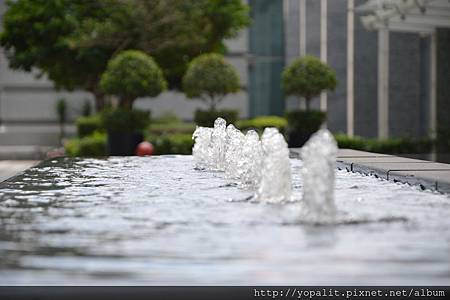 DSC_0911 DSC_0911