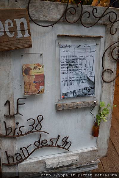 DSC_8875.JPG DSC_8875.JPG
