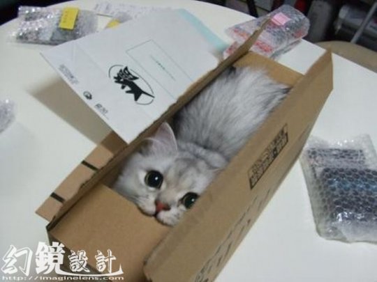 把自己包起來 把自己包起來