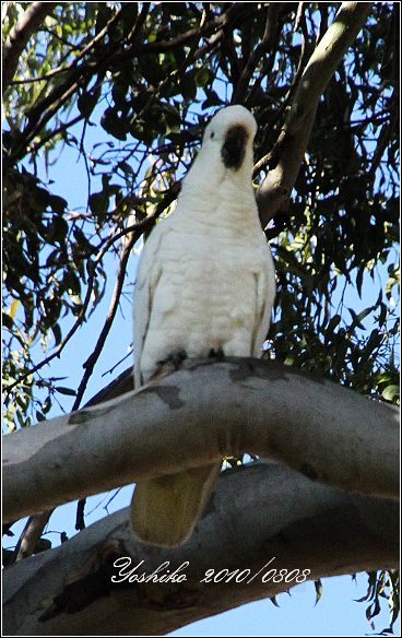 IMG_2992.jpg IMG_2992.jpg