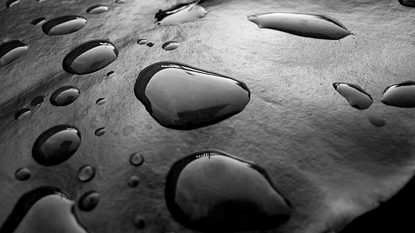 00838_drops_2560x1600