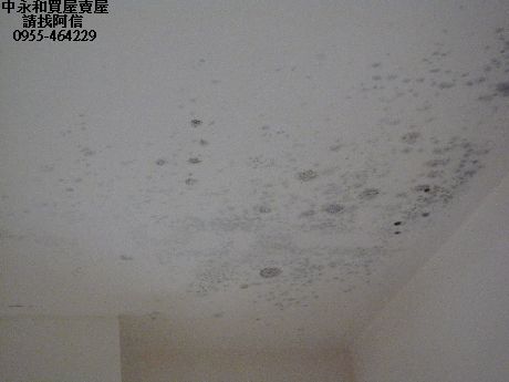 漏水屋 漏水屋