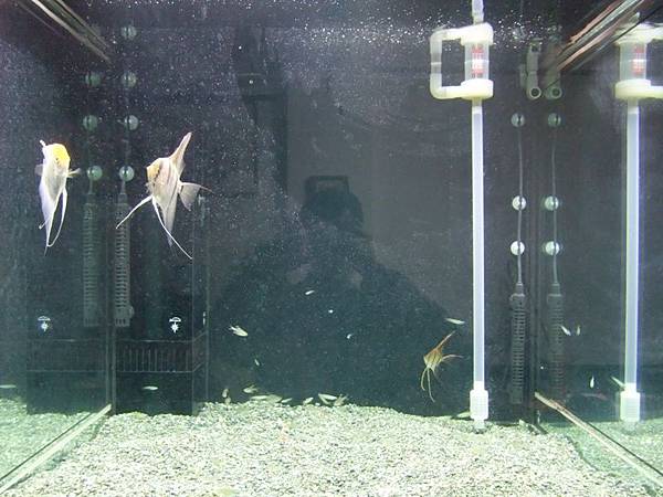 01 05-1.jpg 01 05-1.jpg