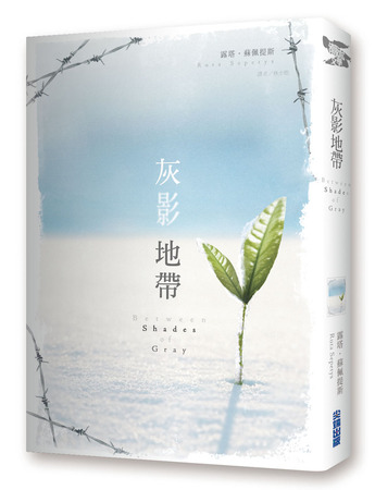灰影地帶 灰影地帶