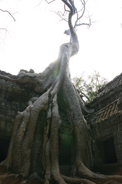 IMG_4564.JPG IMG_4564.JPG