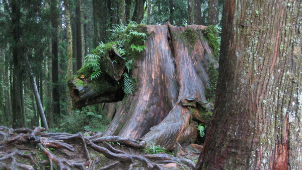 IMG_0491.JPG IMG_0491.JPG