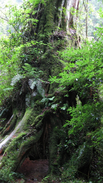 IMG_0510.JPG IMG_0510.JPG