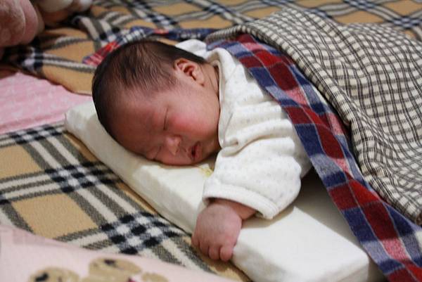 IMG_0504P01 IMG_0504P01