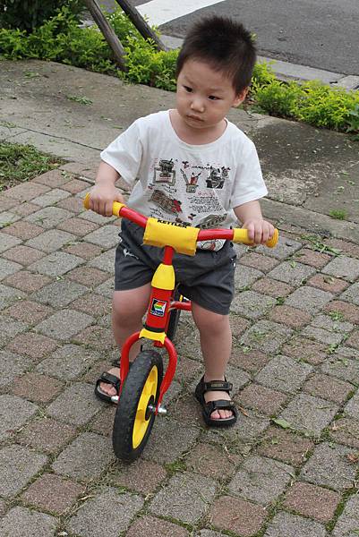 IMG_1599 IMG_1599