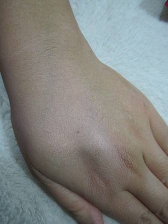 IMG_3065 試用