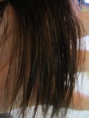 IMG_6127 試用