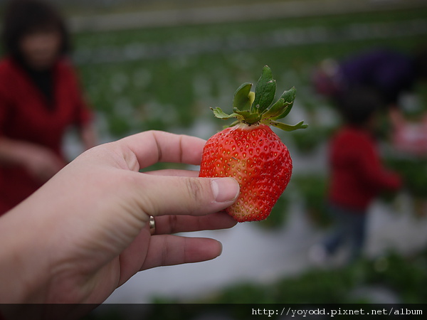 P1120133.JPG P1120133.JPG