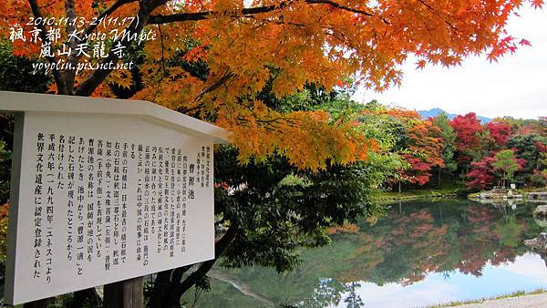p_IMG_4961.jpg p_IMG_4961.jpg